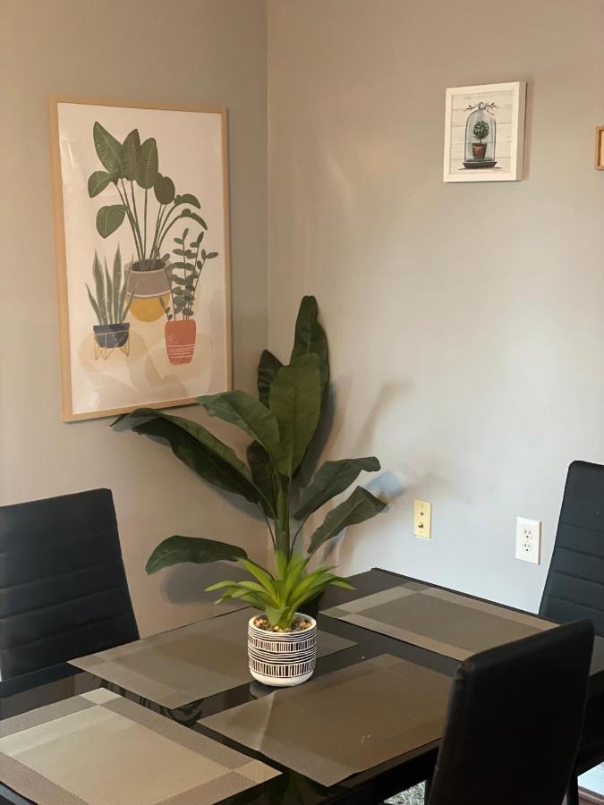 Cute 2-Brm Walkout Apt With Pool Table And Theater Appartement Lexington Buitenkant foto